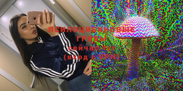 кокс Богородицк
