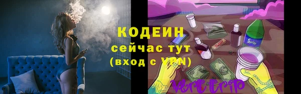 мдпв Богородск