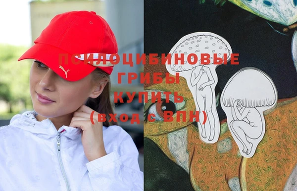 MDMA Premium VHQ Белокуриха