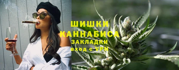 мдпв Богородск
